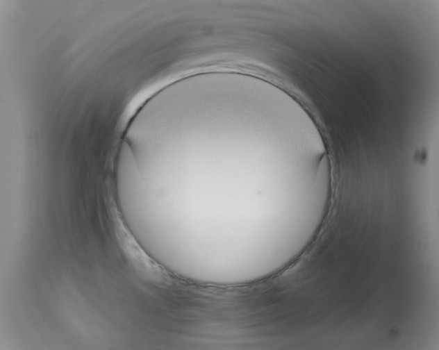 X0000112731530200910011144