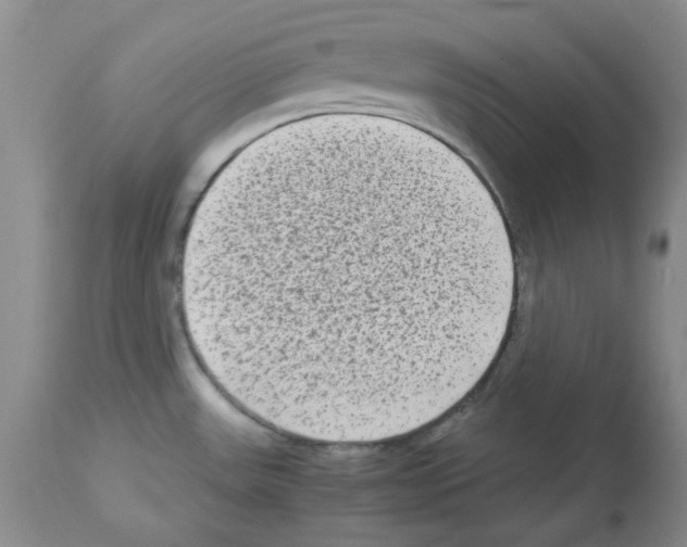 X0000112731531200910011144