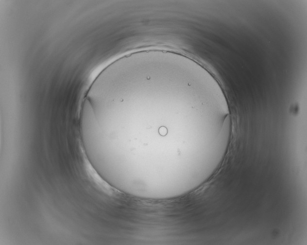X0000112731532200910011144