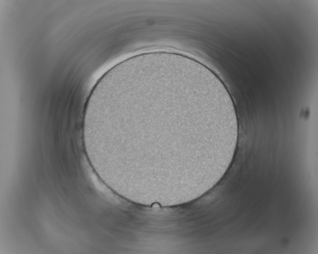 X0000112731534200910011144