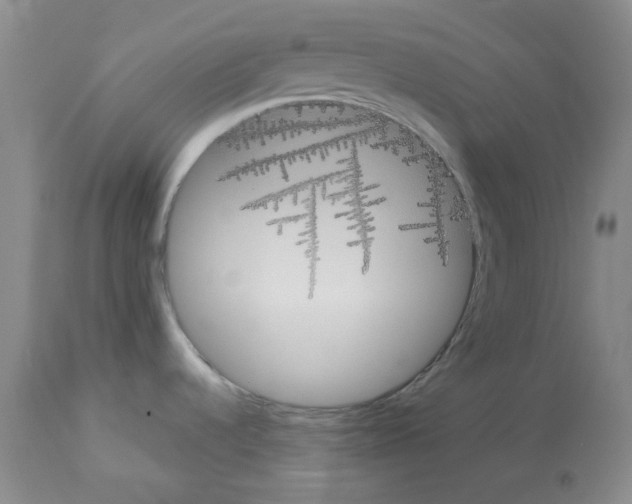 X0000112731536200910011144