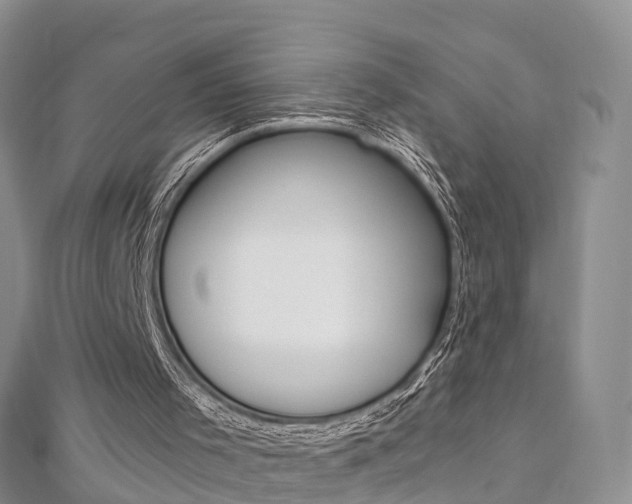X0000112740001200908201045