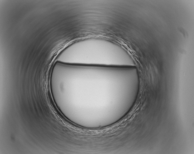 X0000112740002200908201045