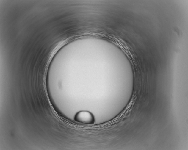 X0000112740003200908201045