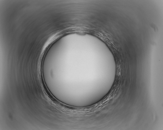 X0000112740004200908201045