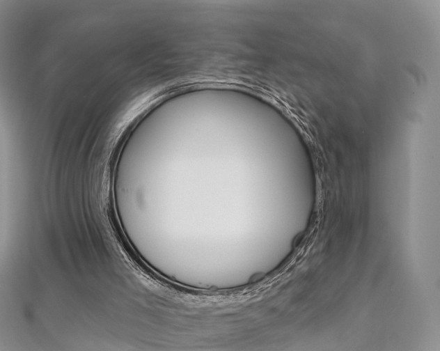 X0000112740005200908201045