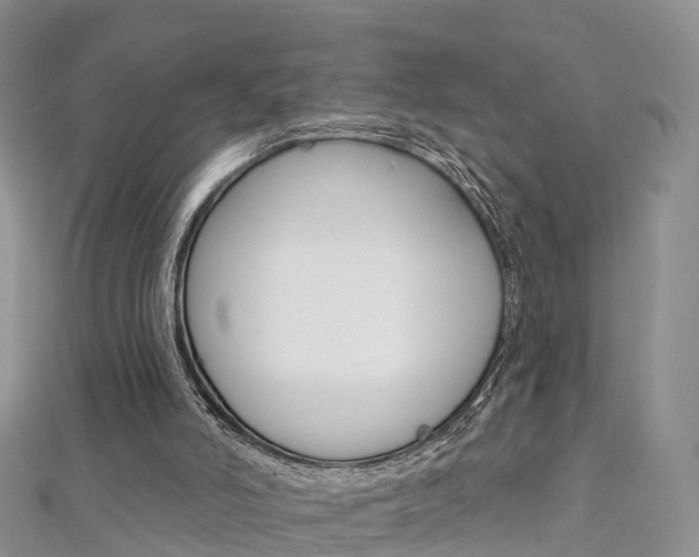 X0000112740006200908201045