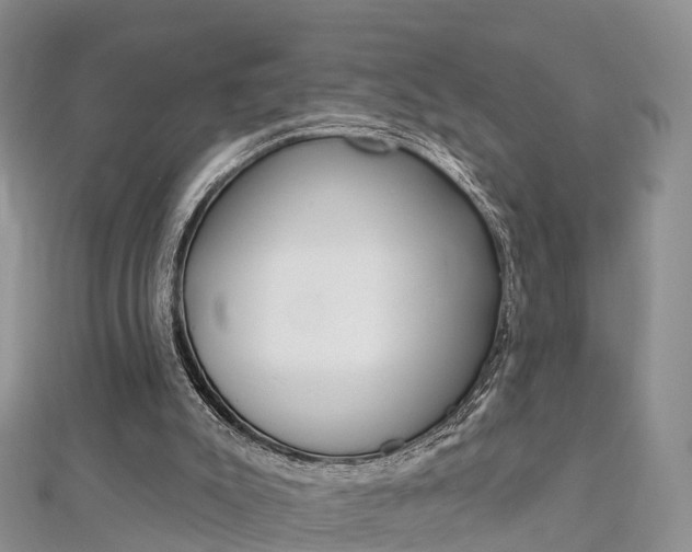 X0000112740007200908201045