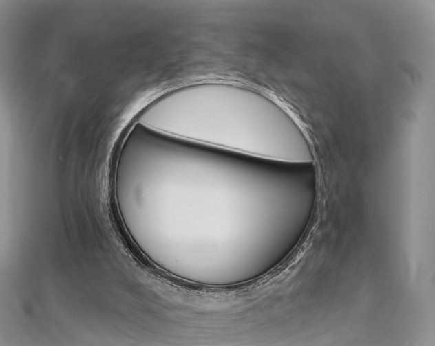 X0000112740008200908201045