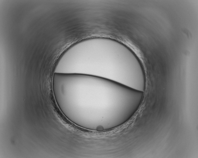 X0000112740009200908201045