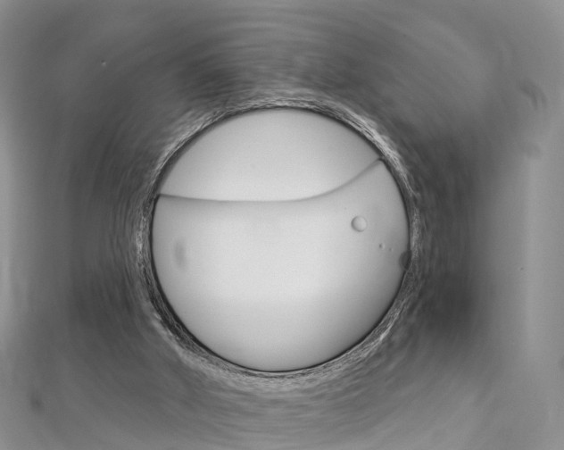 X0000112740010200908201045