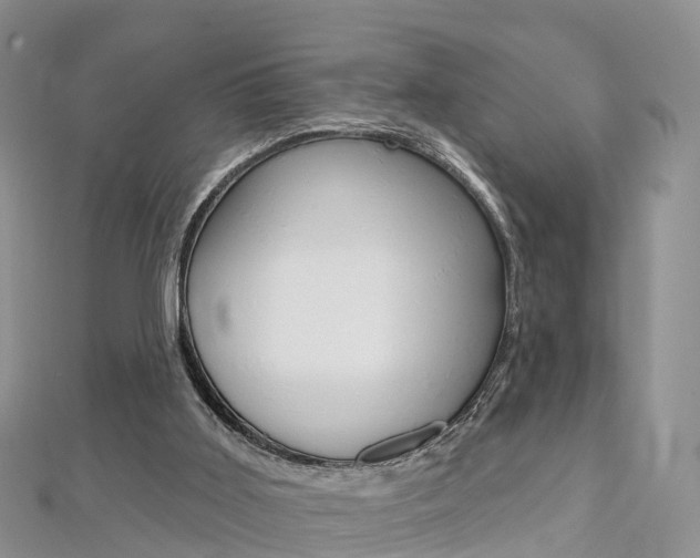 X0000112740011200908201045