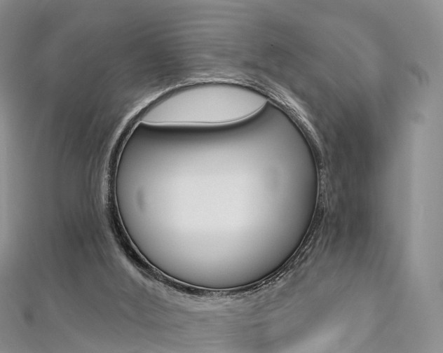X0000112740012200908201045