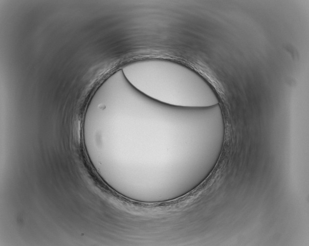 X0000112740014200908201045