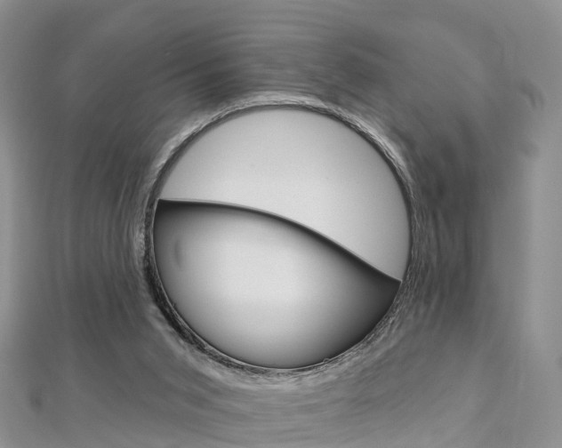 X0000112740015200908201045