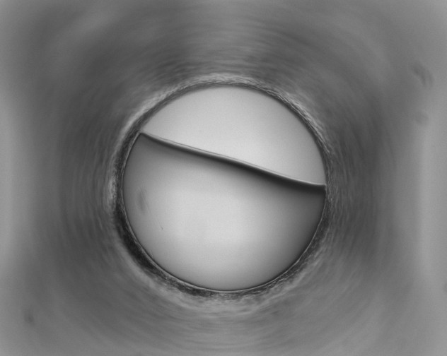 X0000112740016200908201045