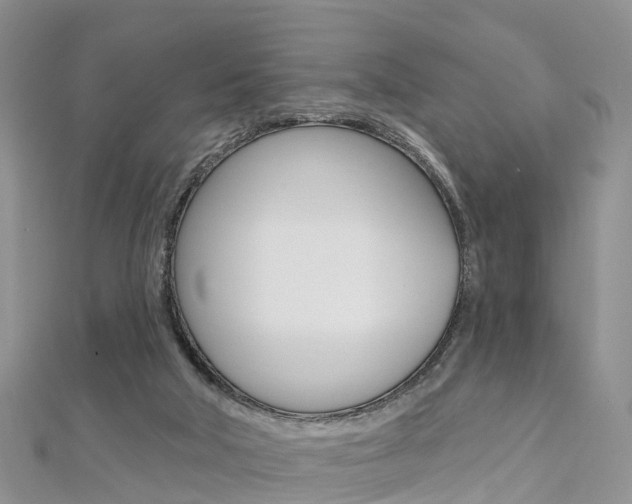 X0000112740018200908201045