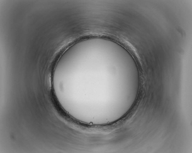 X0000112740020200908201045