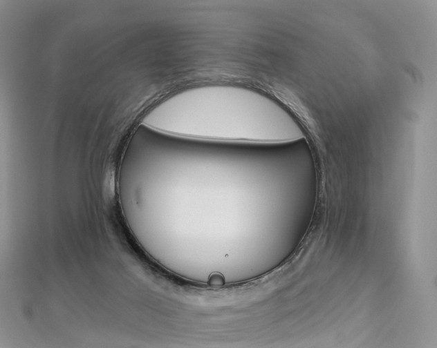 X0000112740021200908201045