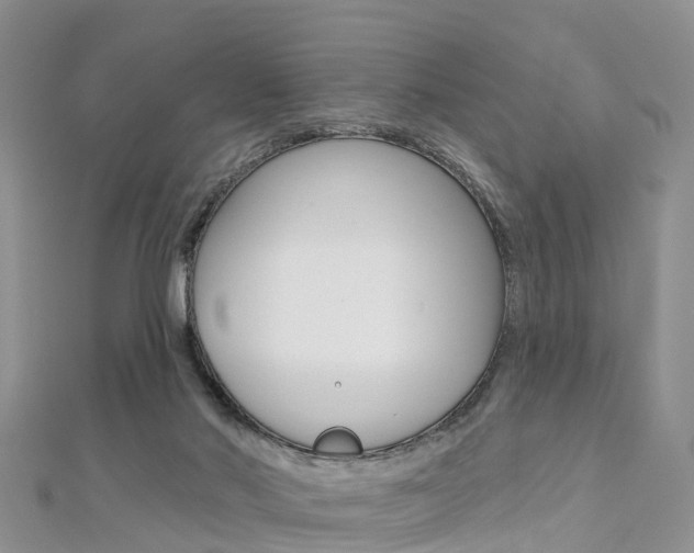 X0000112740022200908201044
