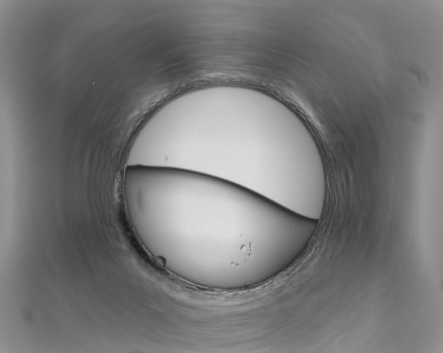 X0000112740023200908201044