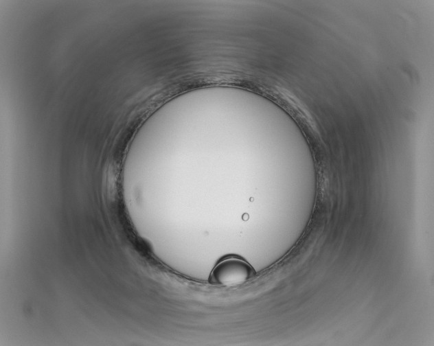 X0000112740026200908201044