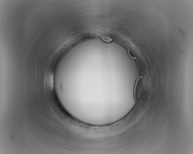 X0000112740027200908201044