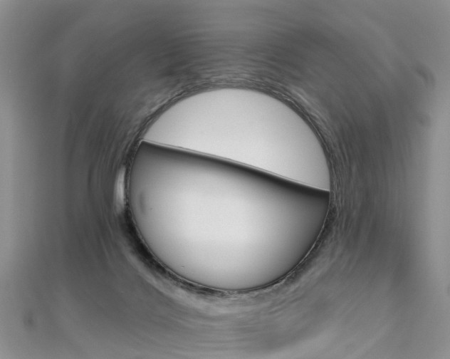 X0000112740028200908201044