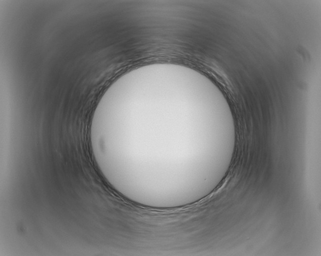 X0000112740029200908201044