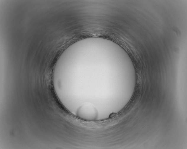 X0000112740030200908201044