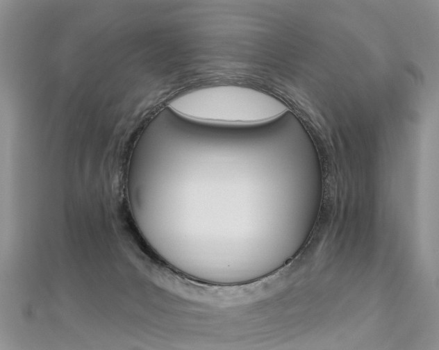 X0000112740031200908201044