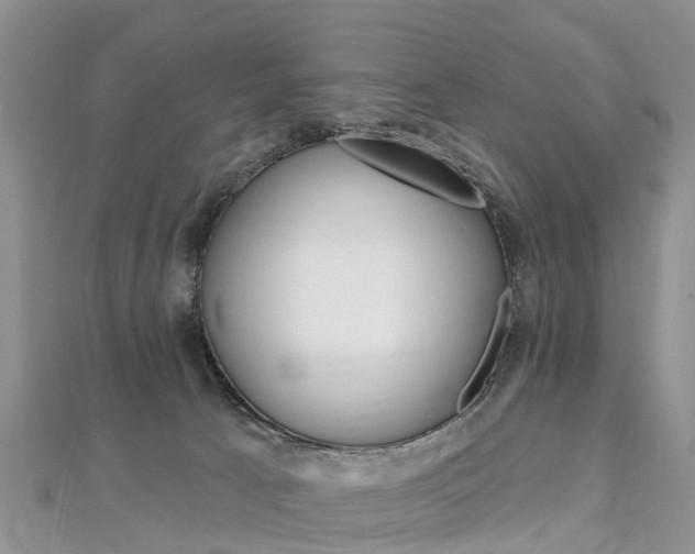 X0000112740033200908201044