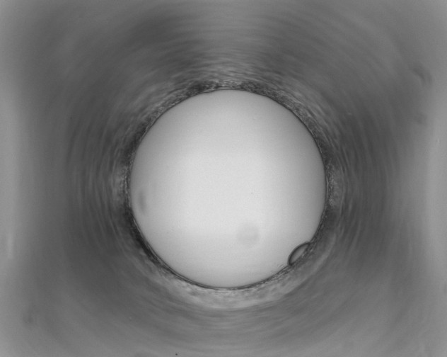 X0000112740034200908201044
