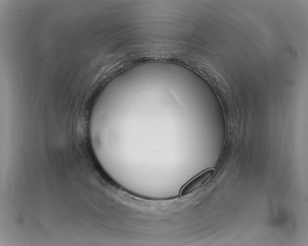 X0000112740035200908201044