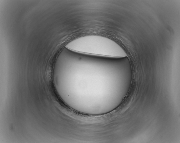X0000112740036200908201044