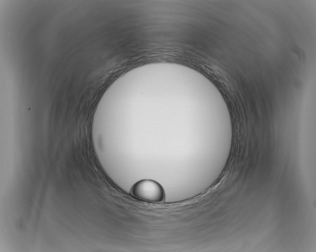 X0000112740037200908201044