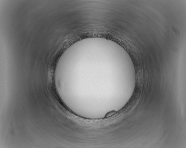 X0000112740038200908201044