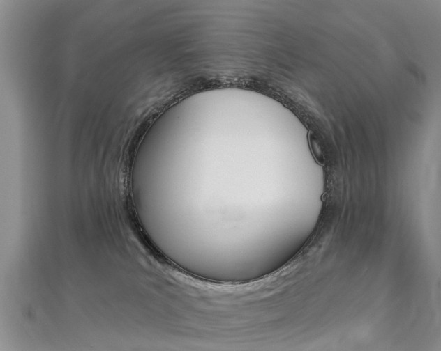 X0000112740039200908201044