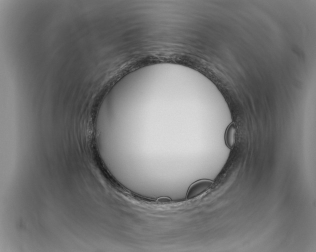 X0000112740040200908201044
