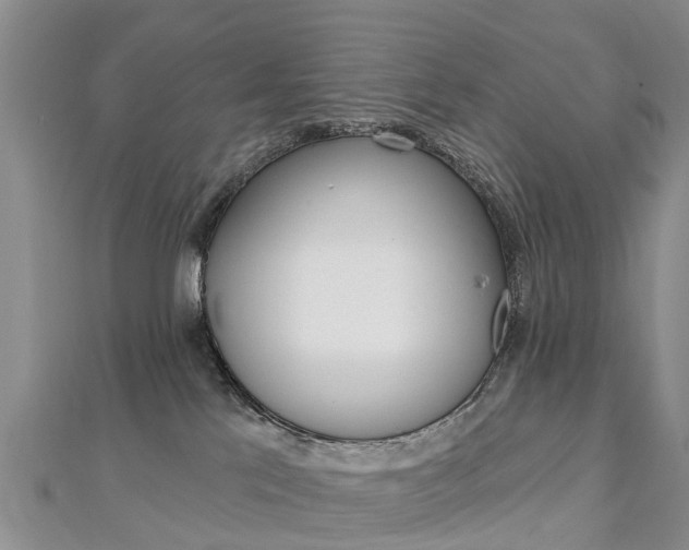 X0000112740041200908201044