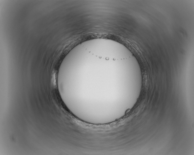 X0000112740042200908201044