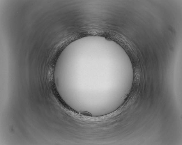 X0000112740043200908201044
