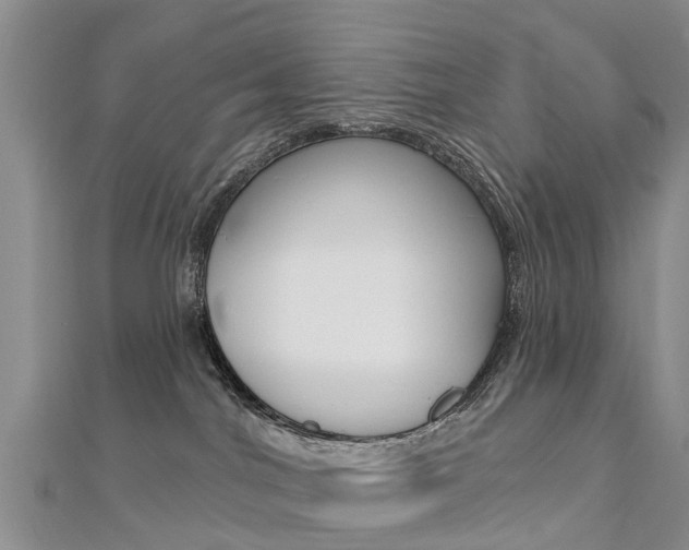 X0000112740044200908201044