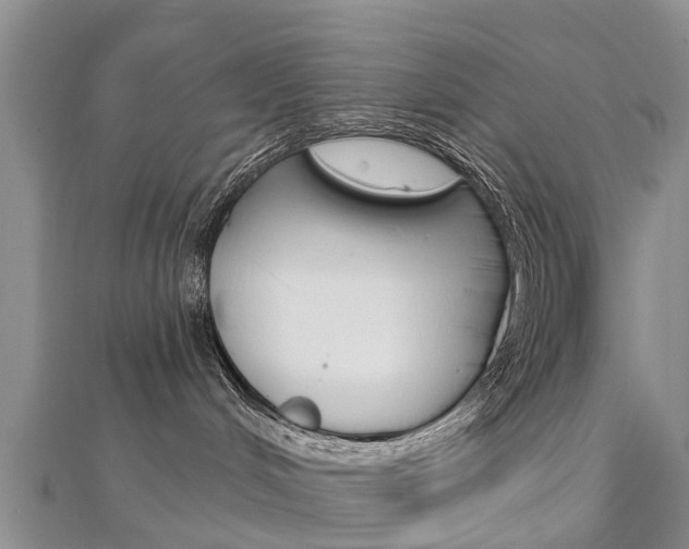 X0000112740048200908201044
