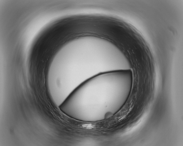 X0000112740050200908201044