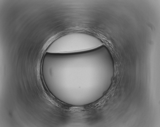 X0000112740051200908201044