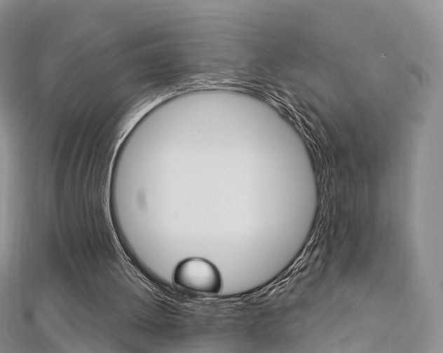 X0000112740052200908201044