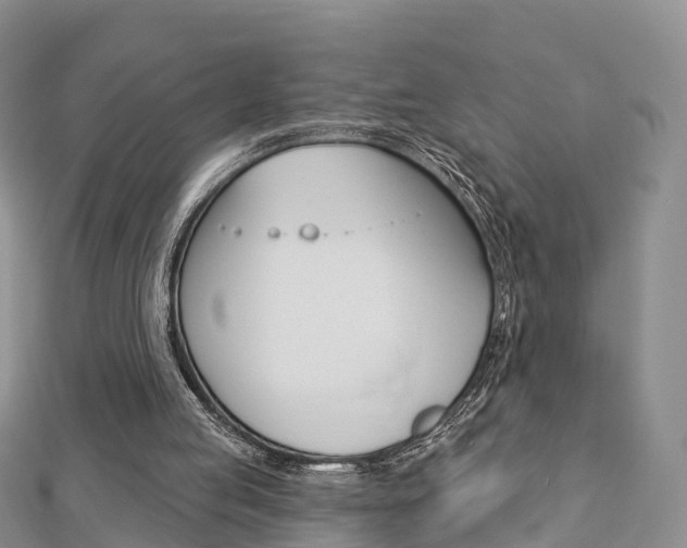 X0000112740053200908201044