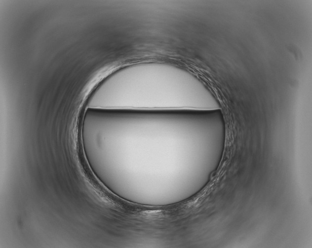 X0000112740054200908201044