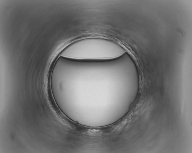 X0000112740055200908201044